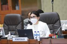 Ketua Komisi IX DPR RI Felly Estelita Runtuwene. Foto: Dok/Man