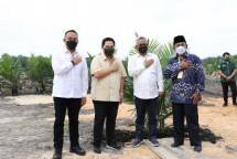 PTPN V & Petani Dukung Peremajaan Sawit Rakyat Melalui Program PTPN Untuk Sawit Rakyat