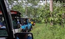 Serunya Menjelajah Kebun Kopi Naik Jeep di Kampoeng Kopi Banaran