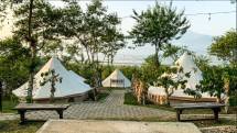 Kampoeng Kopi Banaran Gelar 3 Event Menarik, Ada Konser Musik di Tengah Kebun Kopi