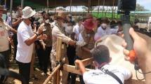 Mentan meninjau Peternakan Sapi