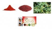 suplemen herbal Nutrafor CHOL