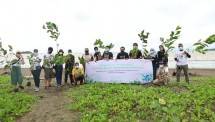 Program bersih bersih bersama Jamkrindo