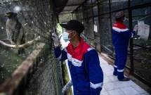 Pertamina Geothermal Perkuat ESG Menuju World Class Green Energy Company