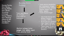 Kementan: Maggot dan Koro Pedang Berpotensi untuk Bahan Pakan Ternak