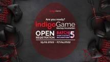 Indigo Game Batch 5