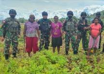 Satgas Kodim Yalimo Yonif RK 751/VJS Panen Kacang Tanah Bersama Warga Perbatasan 