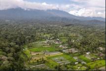 Desa Wisata Tetebatu, Kabupaten Lombok Timur, Provinsi Nusa Tenggara Barat (Foto: Kemenparekraf)
