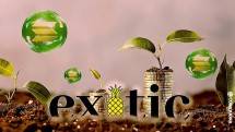 Exotic Markets 