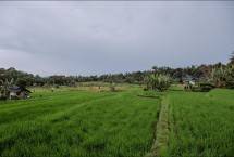 Menparekraf Dorong Desa Cisaat Subang Masuk Ke Jaringan Desa Wisata 
