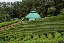 Asstro Highland, Subang, Jawa Barat (Kemenparekraf)