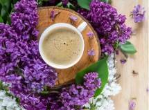 Teh Susu Lavender (Foto: TimesofIndia)