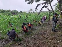 Tanaman Masyarakat Tumbuh Subur, Bukti Keberhasilan Pelatihan Pertanian Satgas Pamtas Yonif 126KC