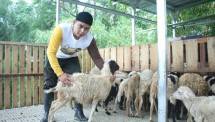 Jangan Tergiur Harga Aqiqah Murah