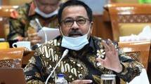 Anggota Komisi X DPR RI Rano Karno 