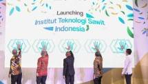 Holding Perkebunan Nusantara Luncurkan Institut Teknologi Sawit Indonesia
