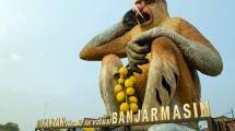 Bekantan Jadi Maskot Kalimantan Selatan, Banjarmasin (Foto:annina95blog.wordpress.com)