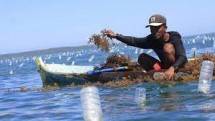 Menangkan Kasus Montara