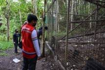 Melalui Program Tanggung Jawab Sosial Lingkungan, PT Pertamina Geothermal Energi Area Lahendong membangun tempat konservasi monyet hitam yang hanya ada di Sulawesi Utara, Macaca Nigra. 