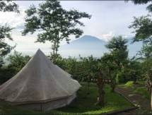 Penginapan di Kampoeng Kopi Banaran, Kabupaten Semarang (Foto: Industry.co.id/Chodijah Febriyani)