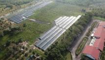 PLTS Kilang Dumai menambah daftar kilang Pertamina yang melakukan konversi ke penggunaan energi listrik ramah lingkungan. 