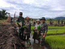 Satgas Pamtas Yonif 126 KC Bantu Warga Tanam Padi di Perbatasan