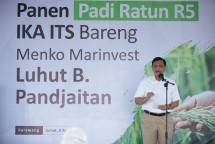 Menko Marvest Luhut B. Pandjaitan 