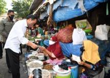 Presiden Jokowi