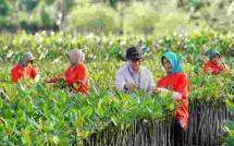 Terapkan Prinsip ESG dalam CSR, PKT Berhasil Ajak Masyarakat Binaan Bangun Kemandirian Ekonomi