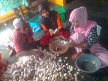 Wilmar Group Pasok Tandan Kosong untuk Budidaya Jamur