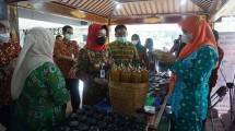 Jamu, Warisan Dari Indonesia Untuk Dunia
