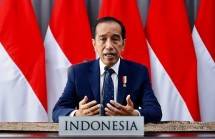 Kabar Baik Bagi Sektor Sawit, Presiden Jokowi: Ekspor Minyak Goreng Dibuka Kembali 23 Mei 2022
