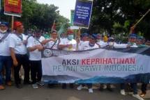 Petani Sawit menyampaikan aspirasi 