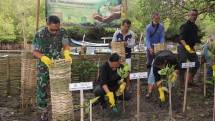 Kodim 1611 Badung, QNET dan Rythm Foundation Tanam 2.000 Bakau untuk Hari Lingkungan Dunia