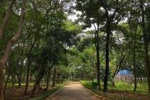 Ilustrasi Hutan Kota Kemayoran 
