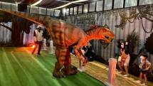 Dino Jungle