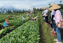Edutrip di Kampung Naga, Tasikmalaya, serta Desa Wisata Saung Ciburial, Garut (Foto: Kemenparekraf)