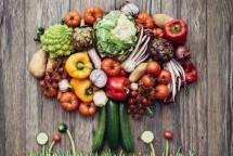 Ilustrasi makanan kategori plant based 