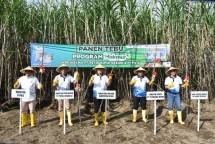 Program Makmur Tingkatkan Produktivitas dan Pendapatan Petami Tenu Kidiri