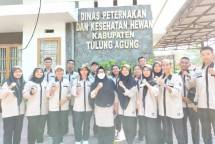 Tangani PMK di Tulungagung, Kementan Turunkan Tim Relawan