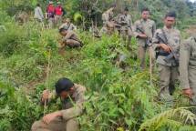 Penanaman pohon di Kaki Gunung Salak salah satunya oleh Antam 