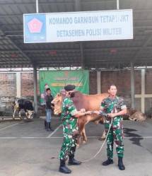 Kogartap I Jakarta Potong Hewan Kurban Peringati Idul Adha 1443 H