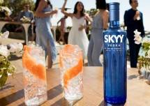 SKYY Vodka