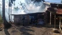 Satgas Yonif 126 KC Laksanakan Pengasapan 