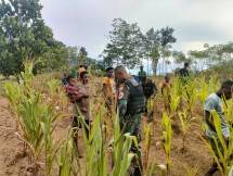 Personel Satgas Yonif 126 KC Berkebun Bersama Masyarakat Perbatasan Papua