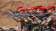 TNI AD Indonesia