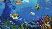 Feeding Frenzy