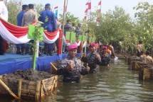 Prajurit Korps Marinir TNI AL Serentak Tanam Bibit Mangrove 