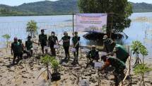 Penanaman mangrove oleh MPMX