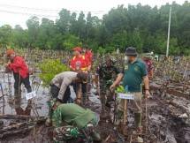Prajurit Kodim 1701 Jayapura Tanam 500 Mangrove di Teluk Youteva Jayapura
